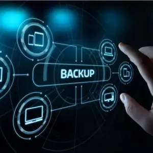 Basic Website Backup Service