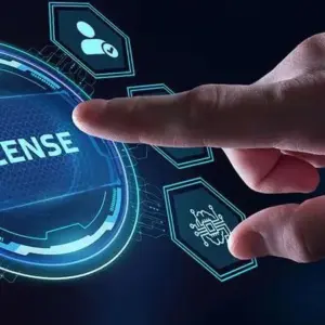 Software License Supply (Business)