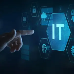 Basic IT Consultation (30 mins)